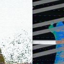 Pair of frames from the video installation Shared Shadow. Pair of frames from the video installation Shared Shadow.