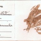 Inside of an Art Bit card (signed by Grounds and the video maker Stephen Jones), from Marr Grounds' 2nd ArtBit Installation at the Art Gallery of NSW for the 1976 Biennale of Syndey. Inside of an Art Bit card (signed by Grounds and the video maker Stephen Jones), from Marr Grounds' 2nd ArtBit Installation at the Art Gallery of NSW for the 1976 Biennale of Syndey.