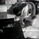 The Akai portapak video recorder comes under close examination. Frame from Akai Ghost Poems an edit of the Yellow TV tapes by Albie Thoms (1971). The Akai portapak video recorder comes under close examination. Frame from Akai Ghost Poems an edit of the Yellow TV tapes by Albie Thoms (1971).