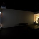 James Newitt, Altered State, 2006, Installation view, 2008 Adelaide Biennial of Australian Art James Newitt, Altered State, 2006, Installation view, 2008 Adelaide Biennial of Australian Art