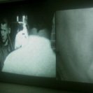 Installation view, The Anita Project/version 3, Debra Petrovitch, 2005. Installation view, The Anita Project/version 3, Debra Petrovitch, 2005.