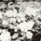 From Still Alives, via <a href=_http_/archive.dlux.org.au/indexce8c.html?page=artworks&id=1146%22>d'archive</a> From Still Alives, via <a href=_http_/archive.dlux.org.au/indexce8c.html?page=artworks&id=1146%22>d'archive</a>