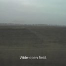 Pole Shiroko - Wide-open Field, 