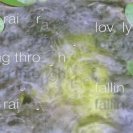 video tanka - rain, video tanka - rain,
