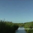 allochtonen, allochtonen,