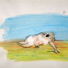 cel from 'Ayers Rock', cel from 'Ayers Rock',