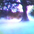 Fujiko Nakaya's Fog Sculpture in the Domain opposit AGNSW Fujiko Nakaya's Fog Sculpture in the Domain opposit AGNSW