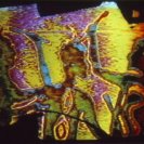 Still frame from On Sacred Land by Peter Kenedy and John Hughes. Still frame from On Sacred Land by Peter Kenedy and John Hughes.