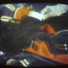 Still frame from On Sacred Land by Peter Kenedy and John Hughes. Still frame from On Sacred Land by Peter Kenedy and John Hughes.