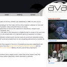 The Australian Video Art Archive (AVAA) The Australian Video Art Archive (AVAA)