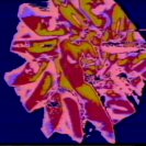 Frame from TaiChi Transforms Frame from TaiChi Transforms
