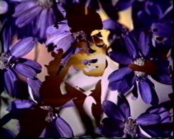 still from
