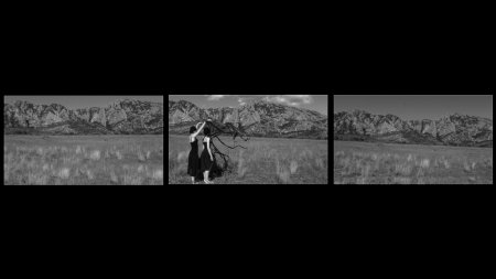 GABRIELLA MANGANO and SILVANA MANGANO, Between near and far, 2008. Courtesy of the artists and Anna Schwartz Gallery.